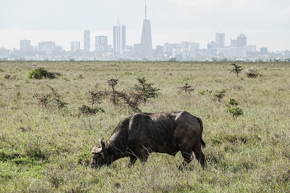 Nairobi